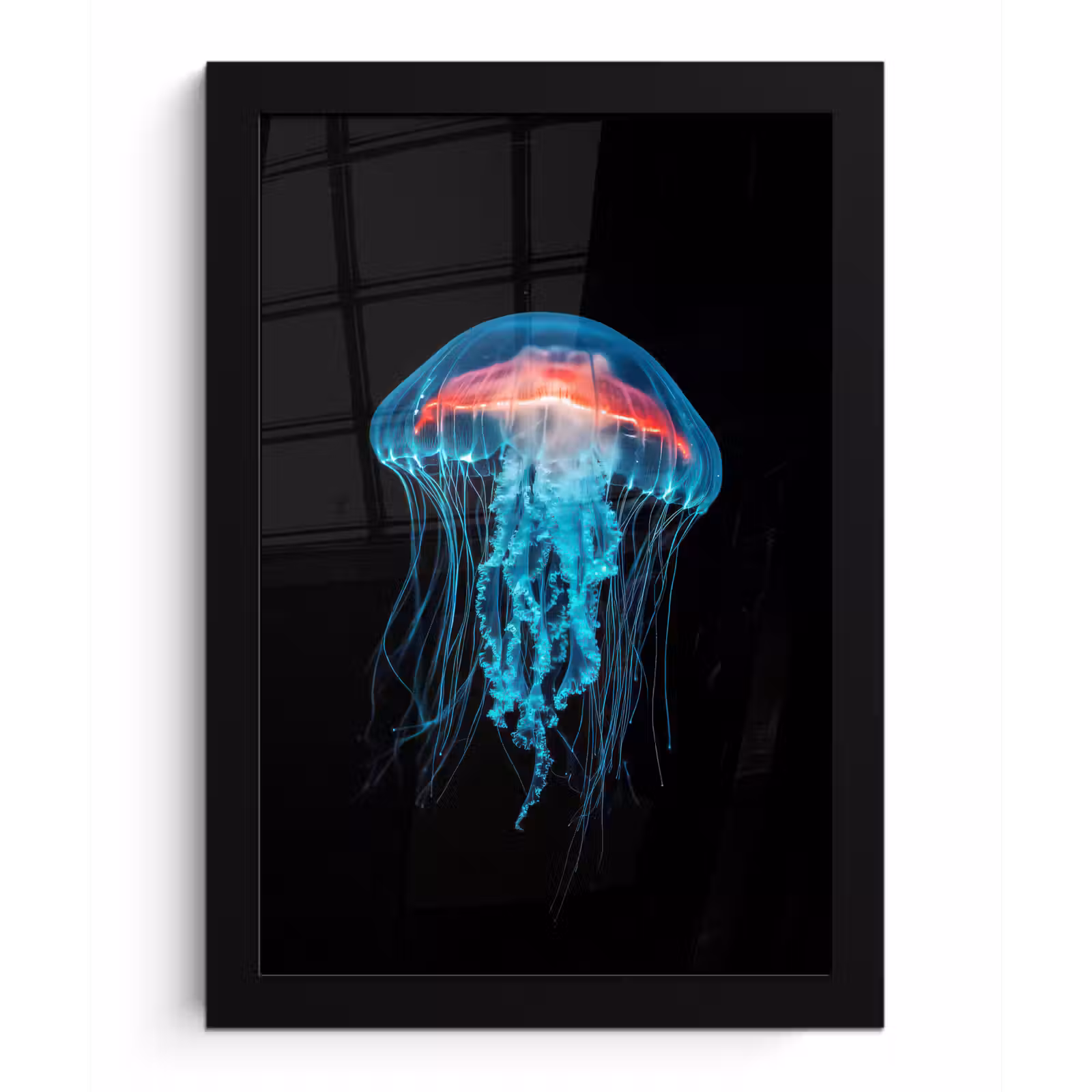 Poster met lijst - Kwal - Tentakels - Blauw - Licht — 1