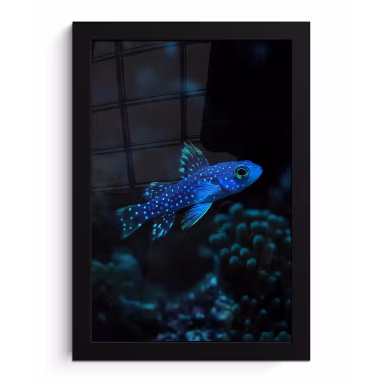 Poster met lijst - Vis - Stippen - Koraal - Blauw — 1