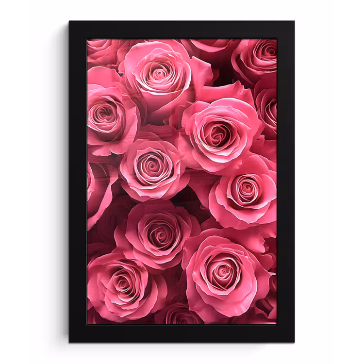 Poster met lijst - Rozen - Pink - Bloem — 1