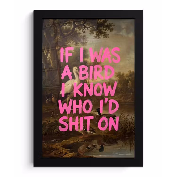 Poster met lijst - Klassiek - Humor - Roze — 1