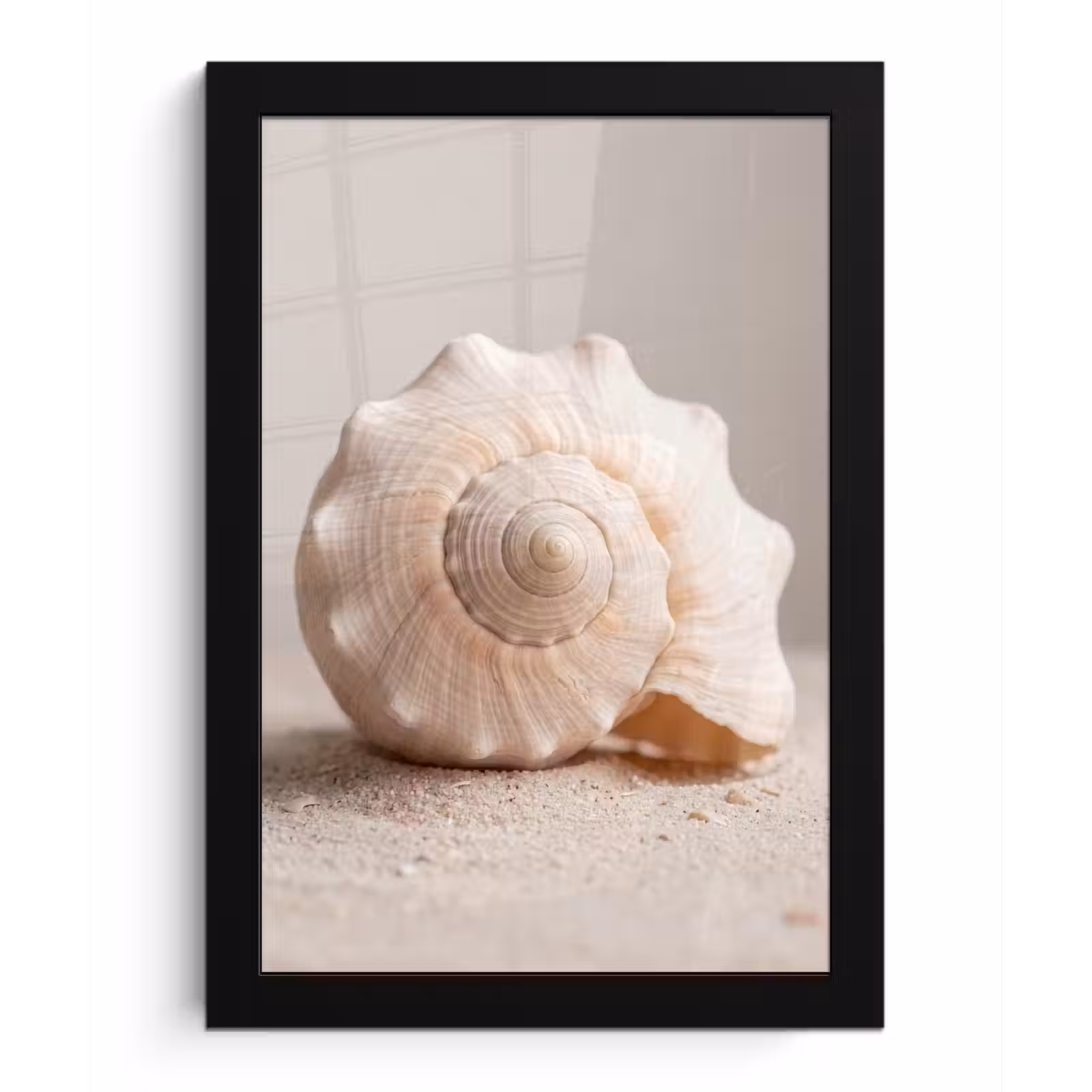 Poster met lijst - Schelp - Detail - Beige — 1