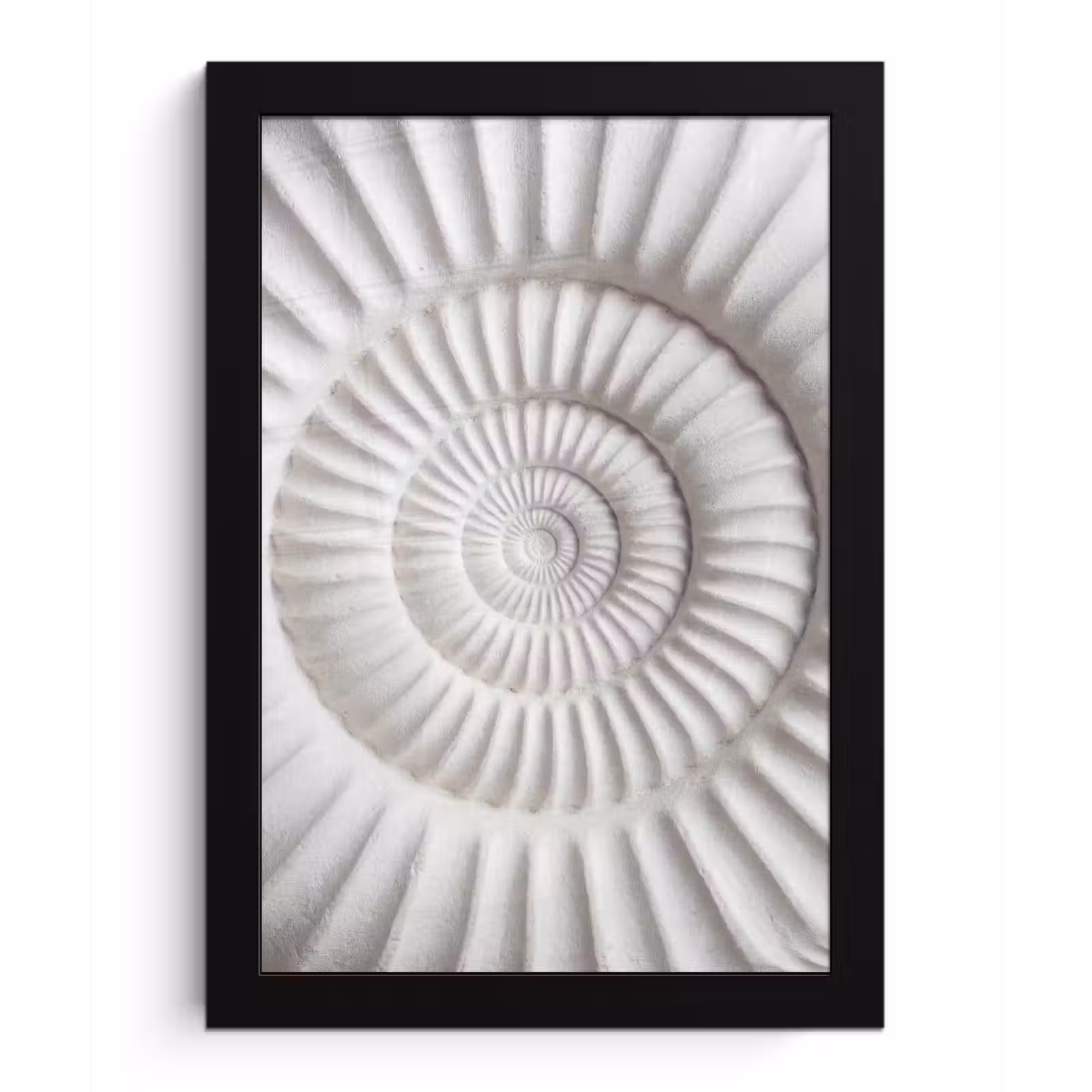 Poster met lijst - Schelp - Spiraal - Wit — 1