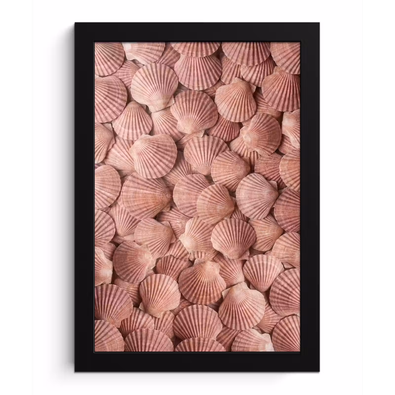 Poster met lijst - Schelpen - Patroon - Roze — 1