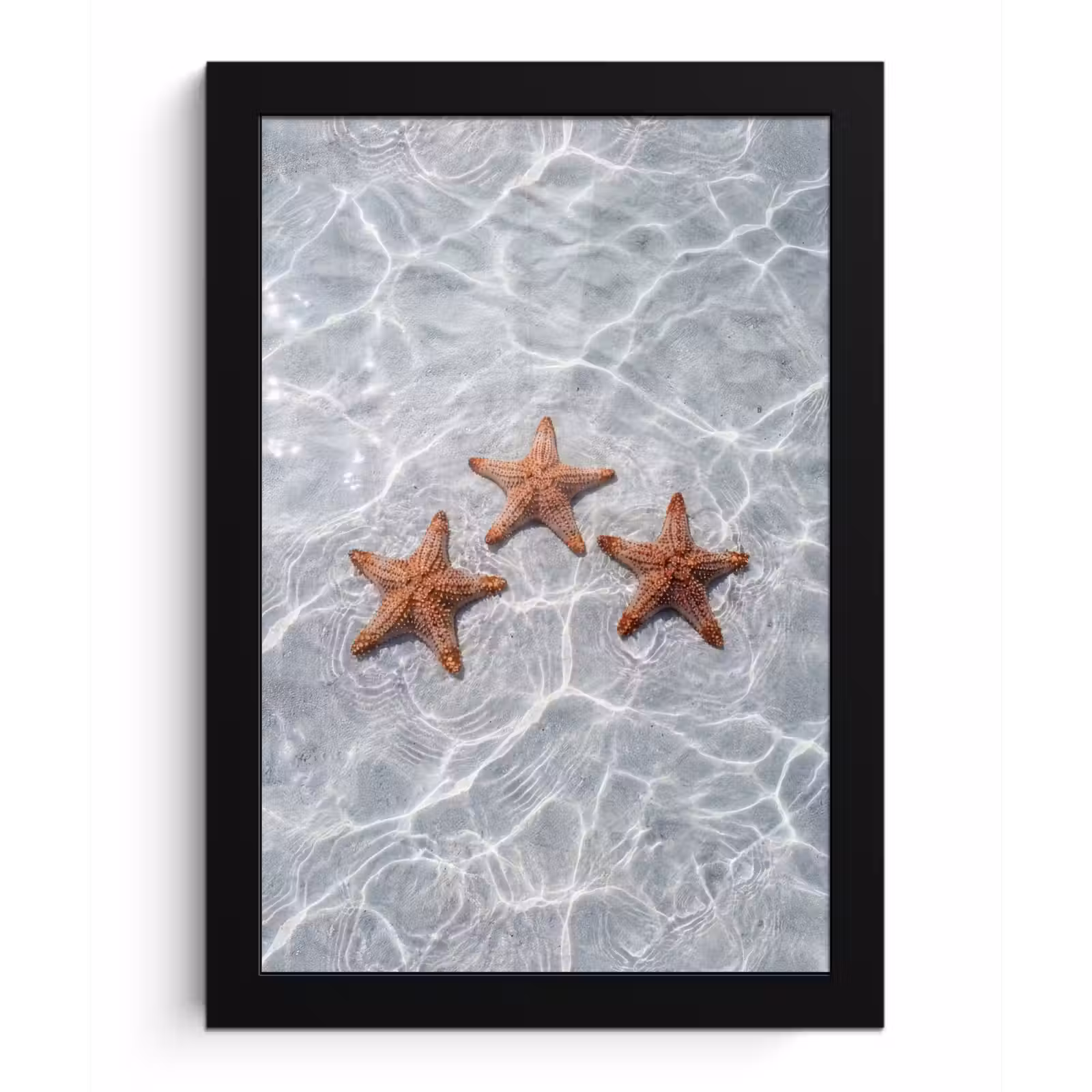 Poster met lijst - Zeesterren - Water - Helder — 1