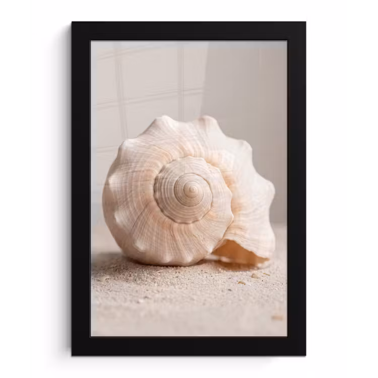 Poster met lijst - Schelp - Detail - Beige — 1