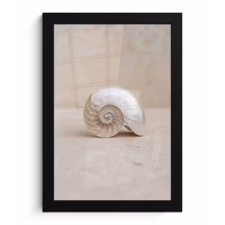 Poster met lijst - Schelp - Spiraal - Beige — 1