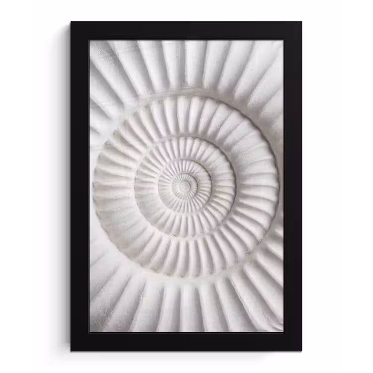 Poster met lijst - Schelp - Spiraal - Wit — 1