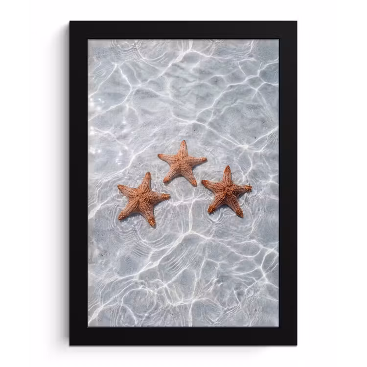 Poster met lijst - Zeesterren - Water - Helder — 1