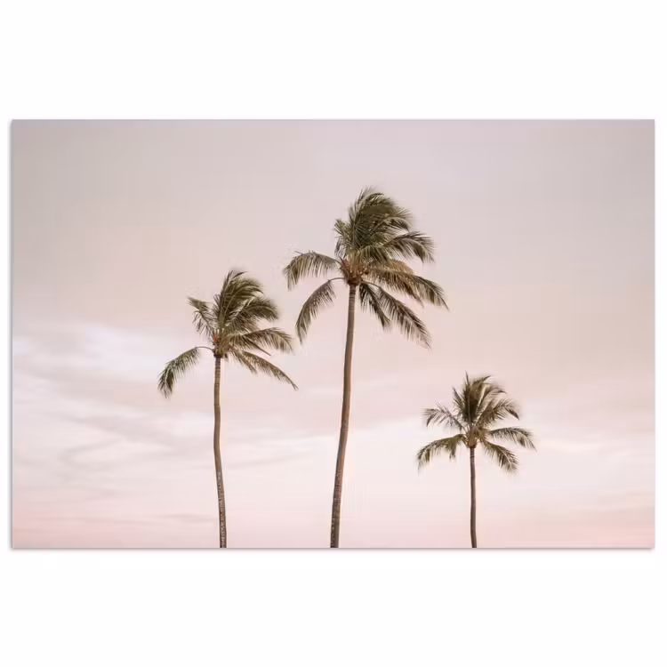 Poster - Palmbomen - Zonsondergang - Roze — 1