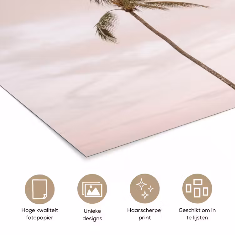 Poster - Palmbomen - Zonsondergang - Roze — 5