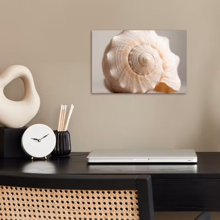 Poster - Schelp - Detail - Beige — 2