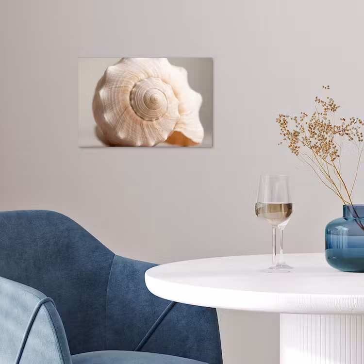Poster - Schelp - Detail - Beige — 4