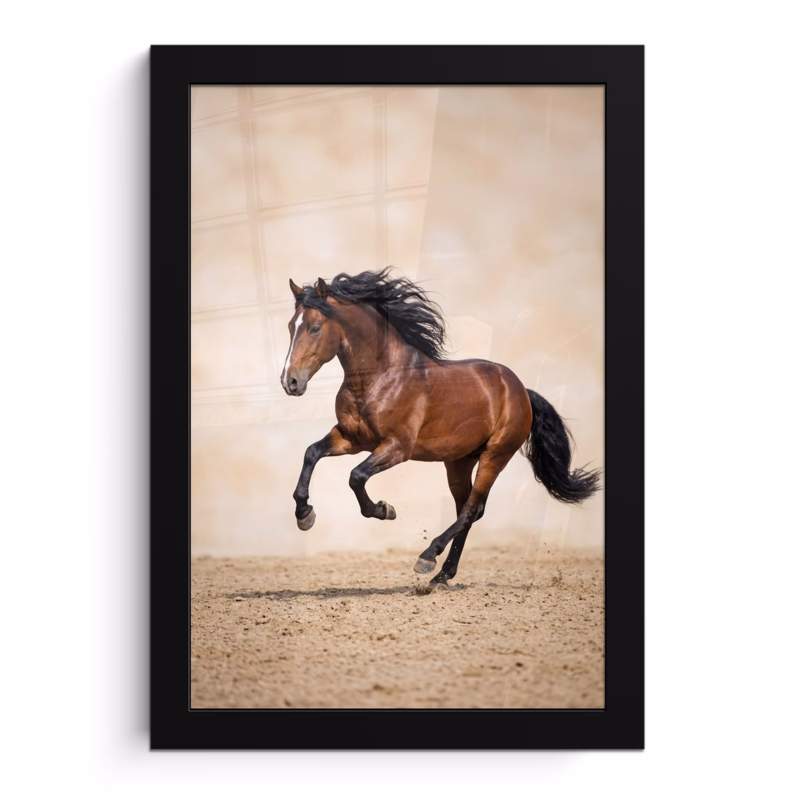Poster met lijst - Paard - Galop - Energie — 1