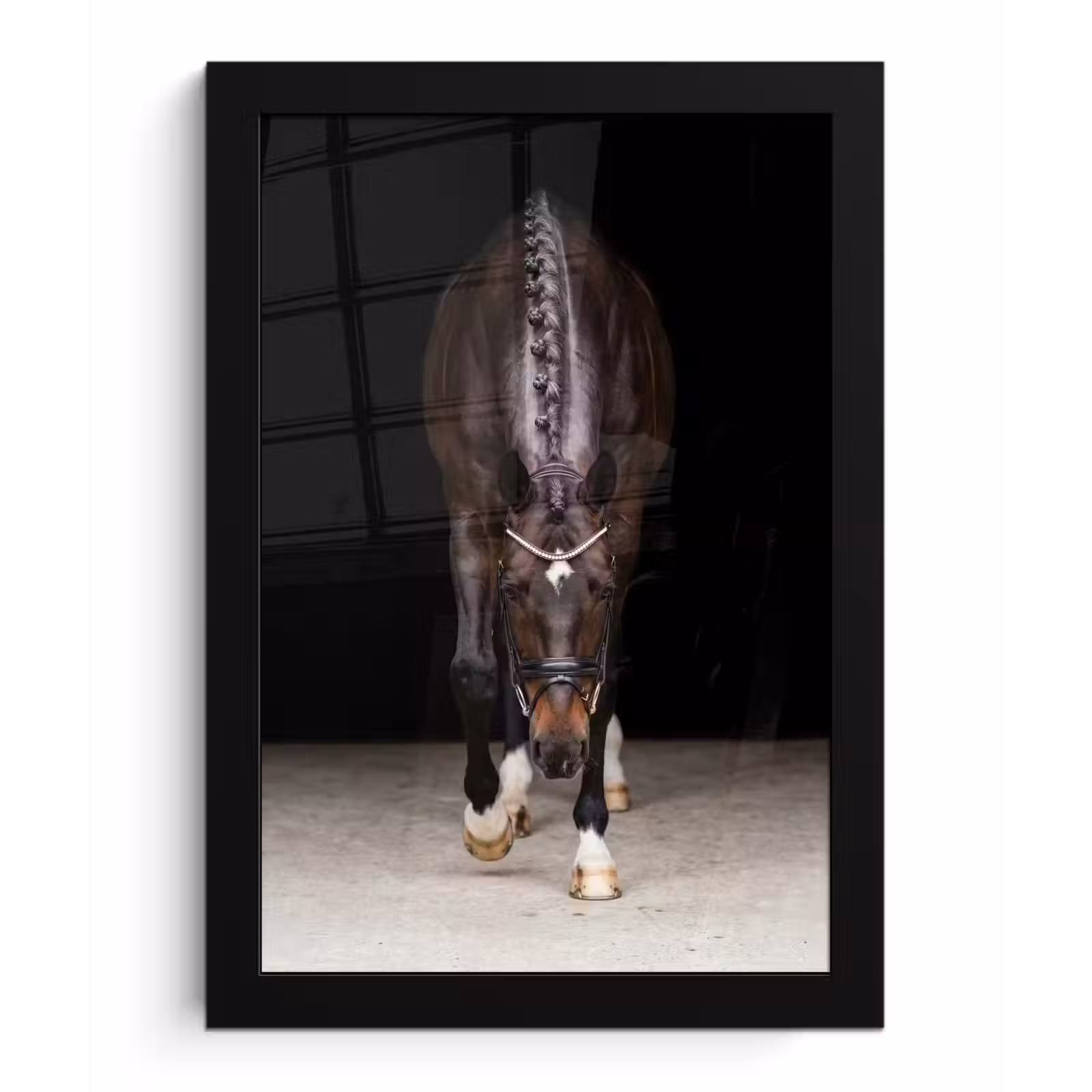 Poster met lijst - Paard - Modern - Portret — 1