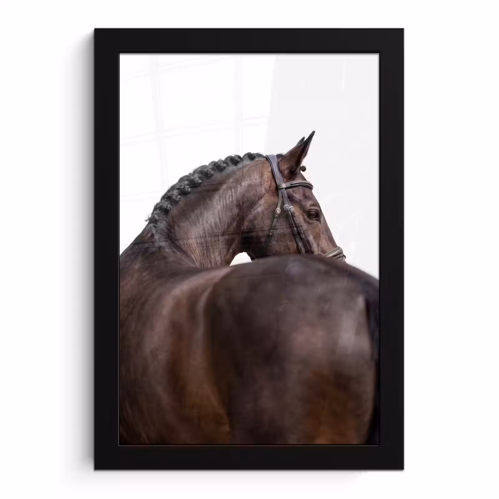 Poster met lijst - Portret - Paard - Elegant — 1