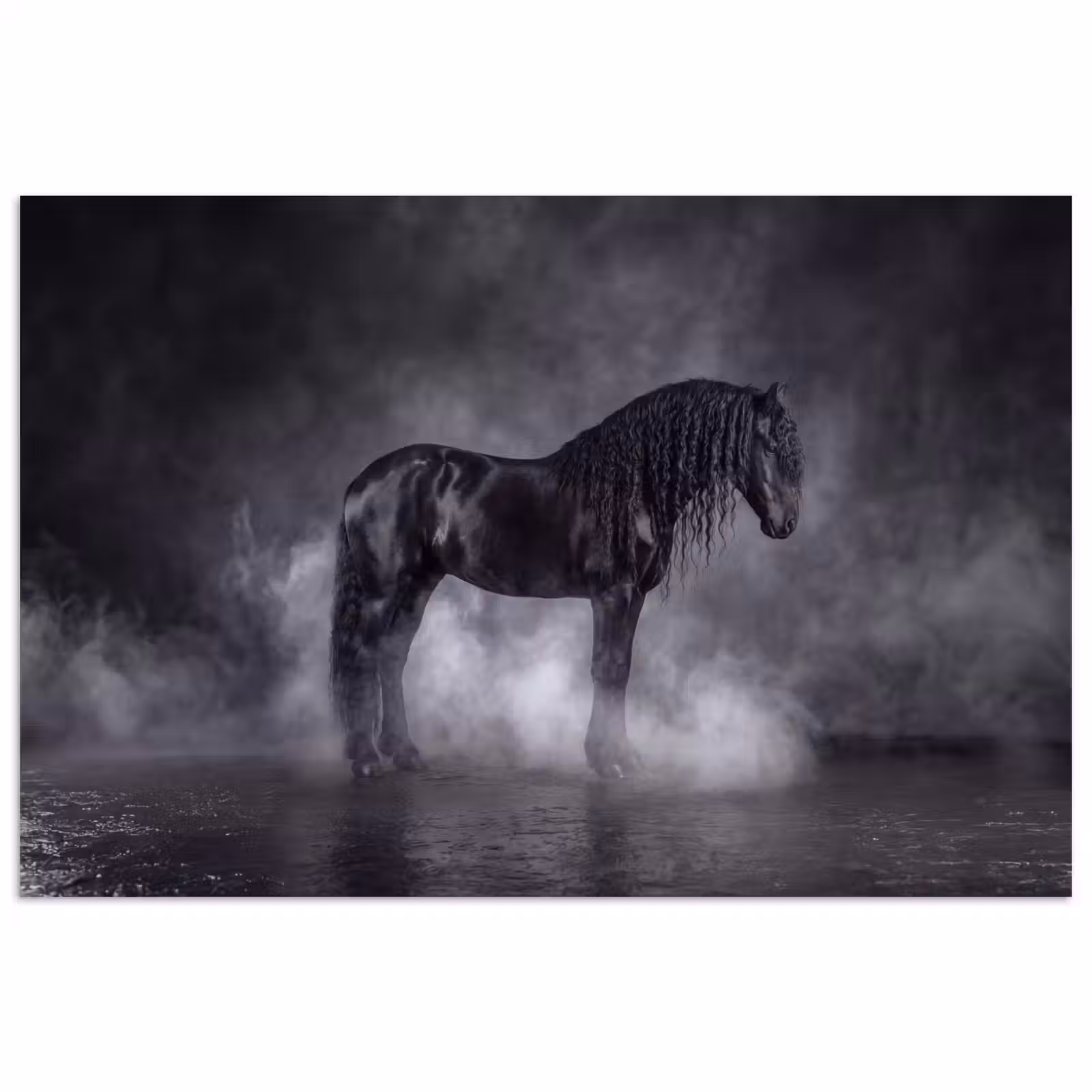 Poster - Paard - Magisch - Zwart — 1