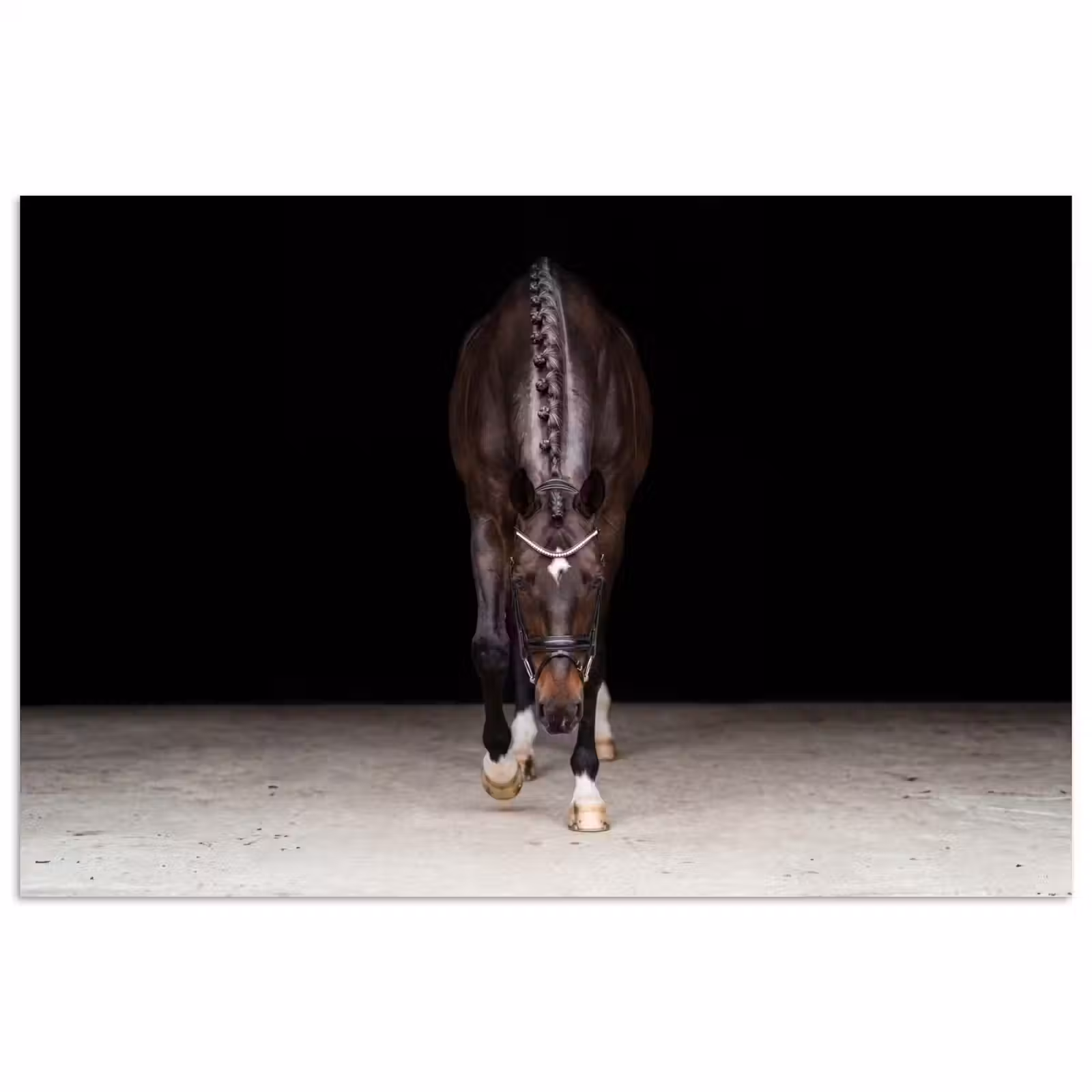 Poster - Paard - Modern - Portret — 1