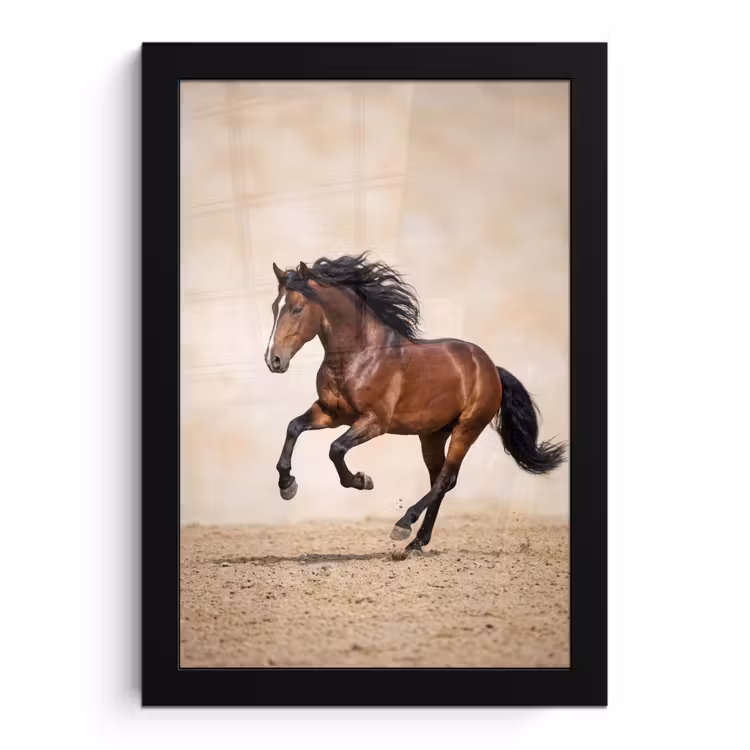 Poster met lijst - Paard - Galop - Energie — 1