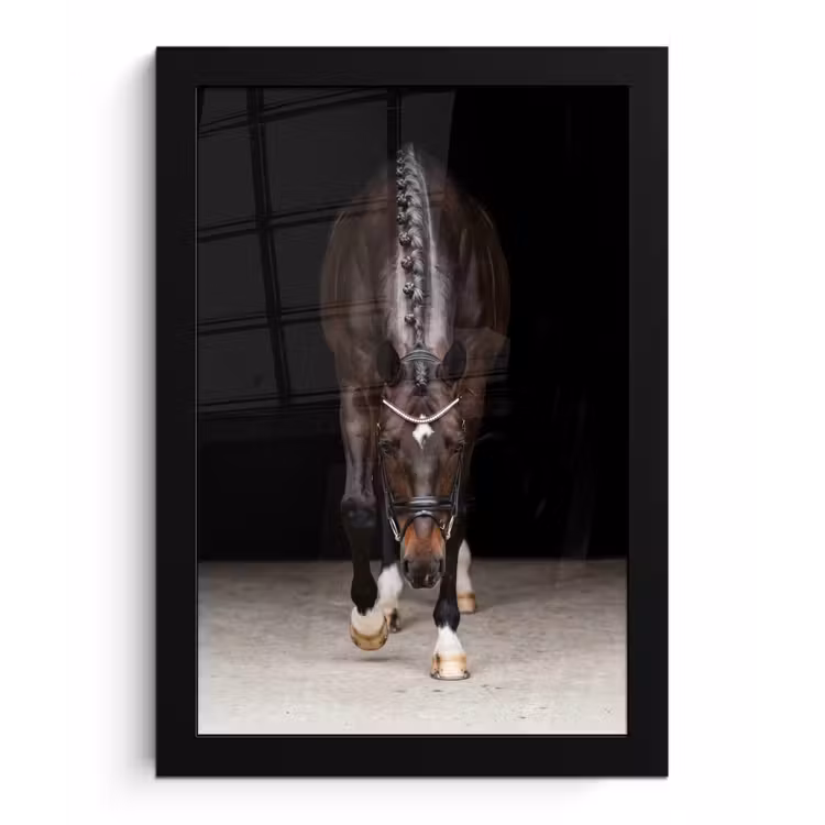 Poster met lijst - Paard - Modern - Portret — 1