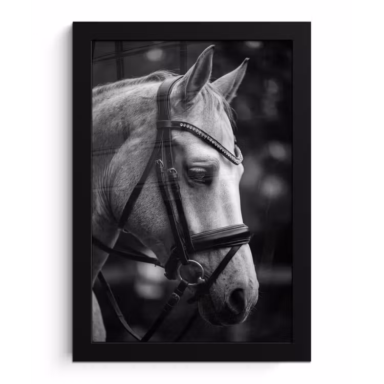 Poster met lijst - Paard - Schimmel - Portret — 1