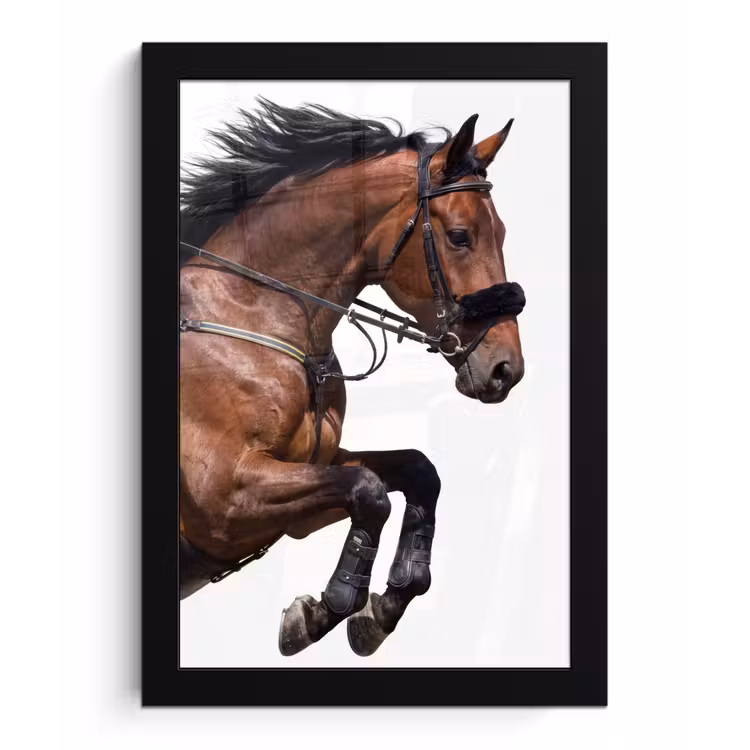 Poster met lijst - Paard - Springen - Modern — 1
