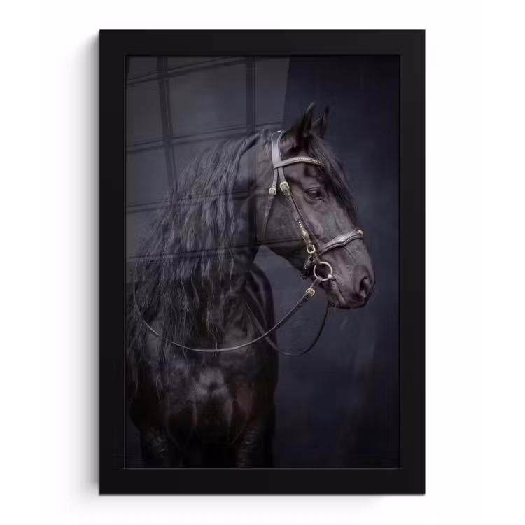 Poster met lijst - Portret - Paard - Donker — 1