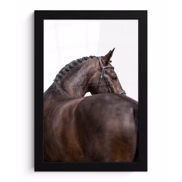 Poster met lijst - Portret - Paard - Elegant — 1