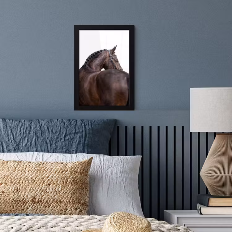 Poster met lijst - Portret - Paard - Elegant — 4