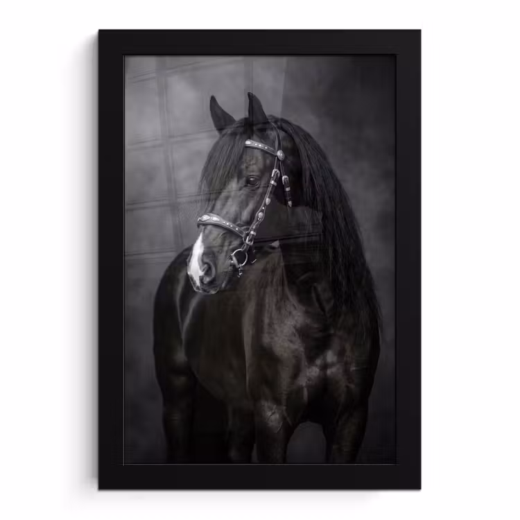 Poster met lijst - Portret - Paard - Zwart — 1