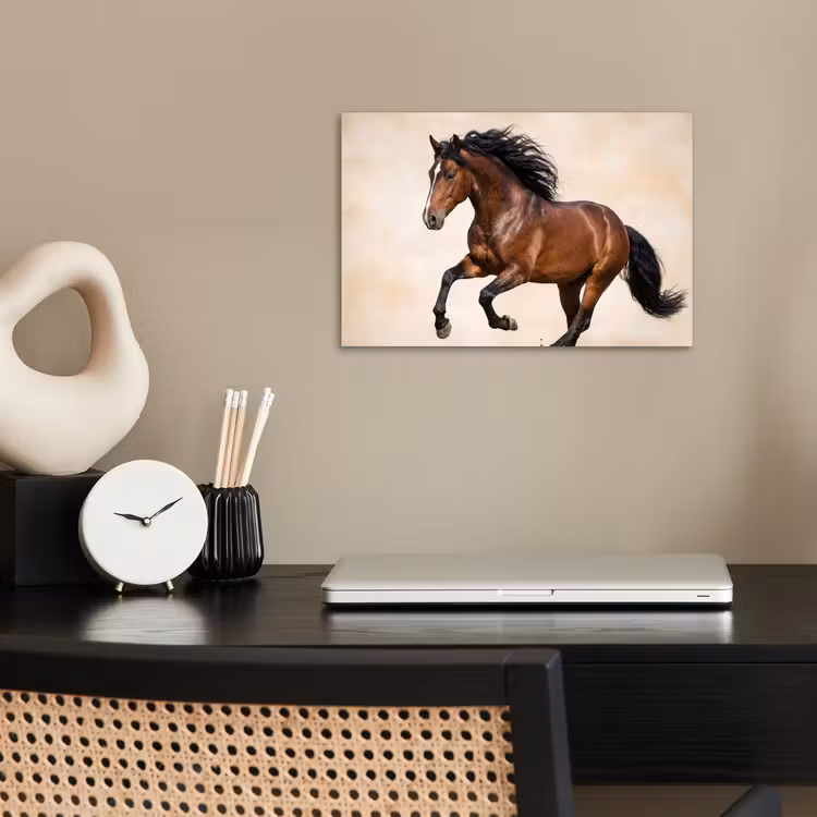 Poster - Paard - Galop - Energie — 2