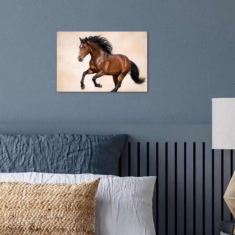 Poster - Paard - Galop - Energie — 3