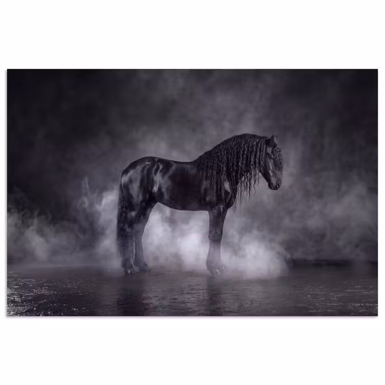 Poster - Paard - Magisch - Zwart — 1