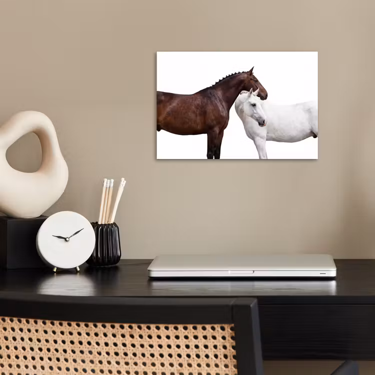 Poster - Paard - Modern - Balans — 2