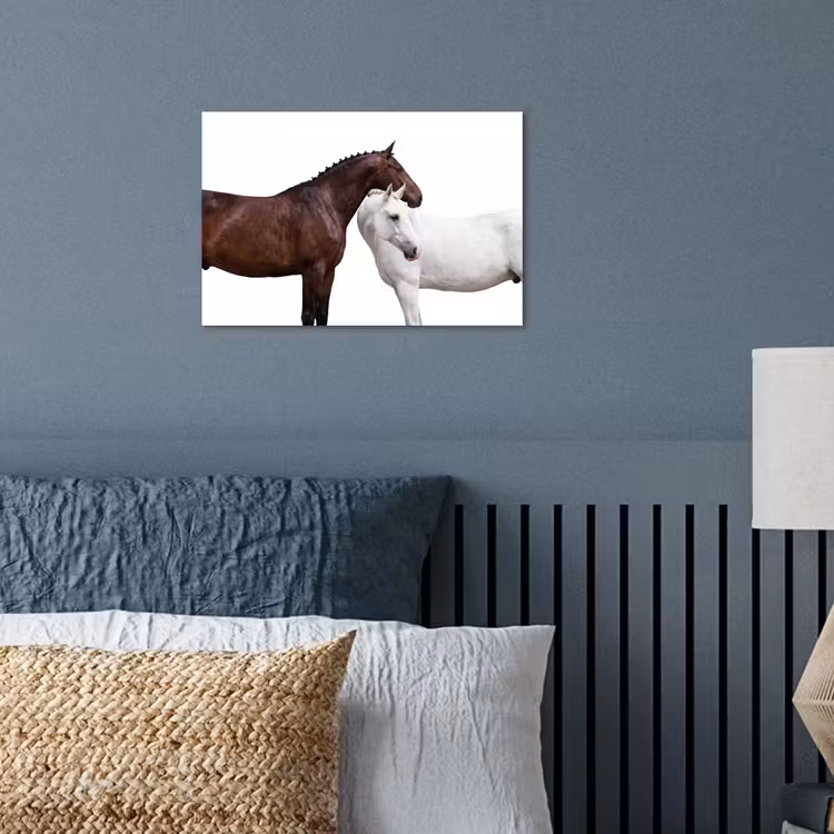 Poster - Paard - Modern - Balans — 3
