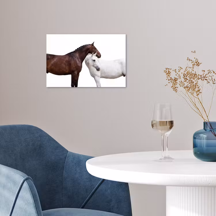 Poster - Paard - Modern - Balans — 4