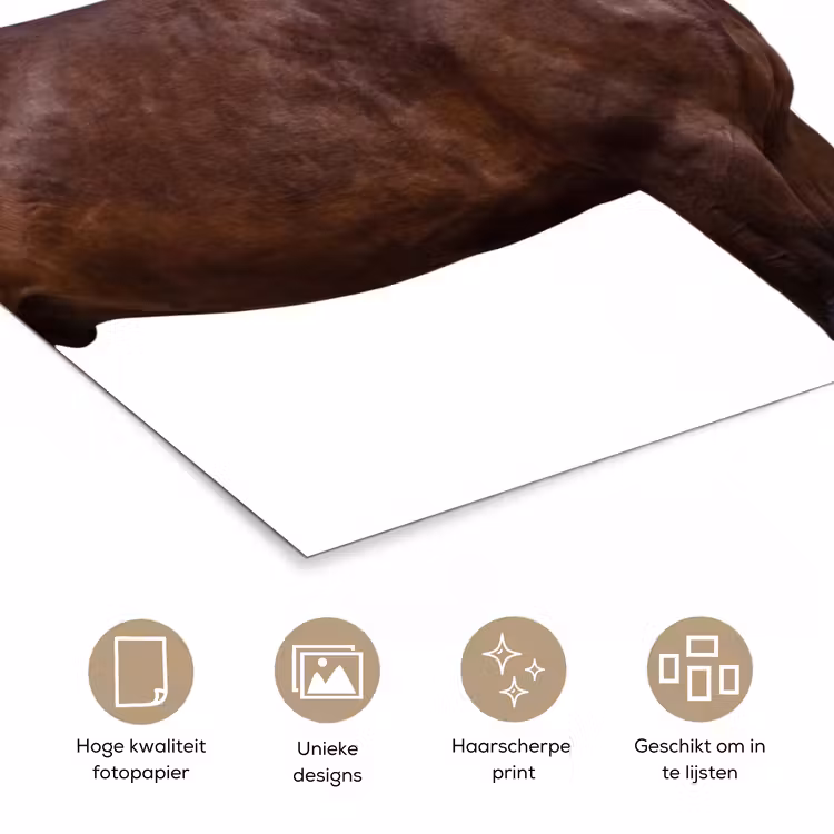 Poster - Paard - Modern - Balans — 5