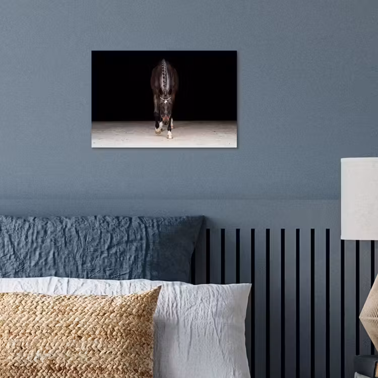 Poster - Paard - Modern - Portret — 3