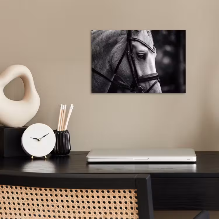 Poster - Paard - Schimmel - Portret — 2