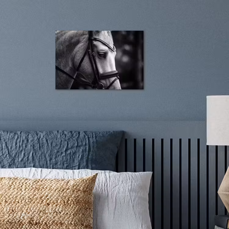 Poster - Paard - Schimmel - Portret — 3