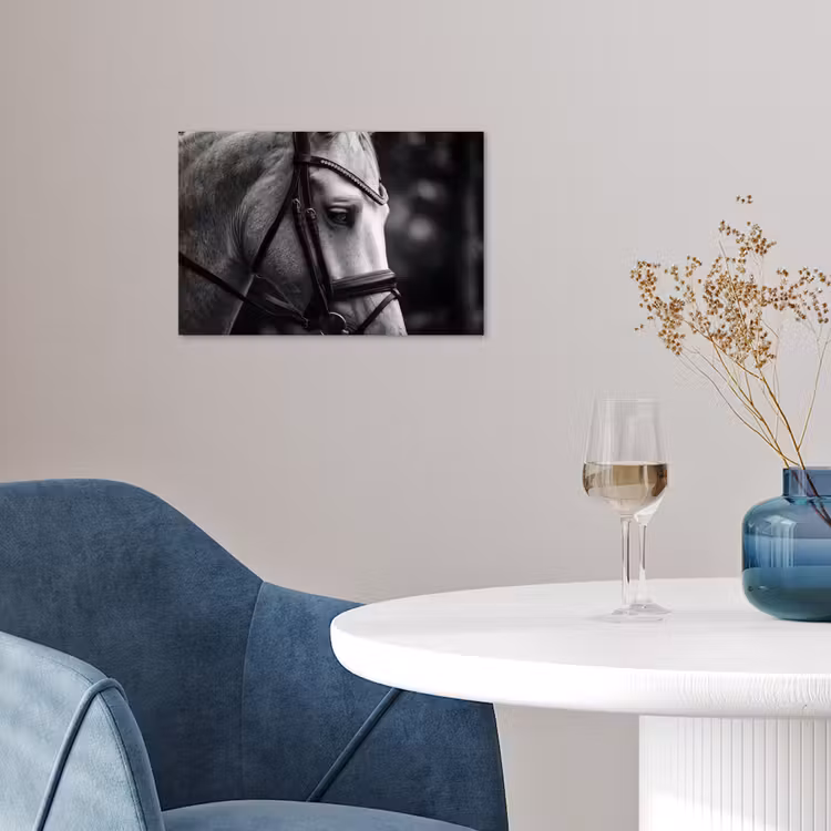 Poster - Paard - Schimmel - Portret — 4
