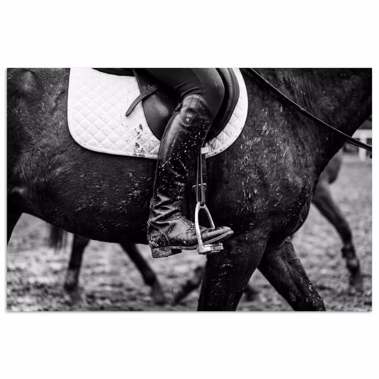 Poster - Paard - Sport - Zwart - Wit — 1