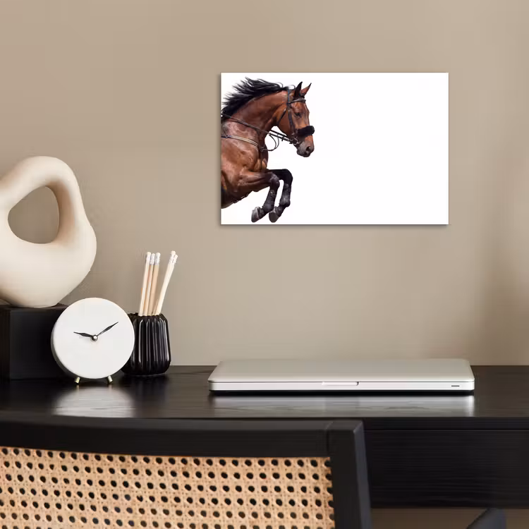 Poster - Paard - Springen - Modern — 2