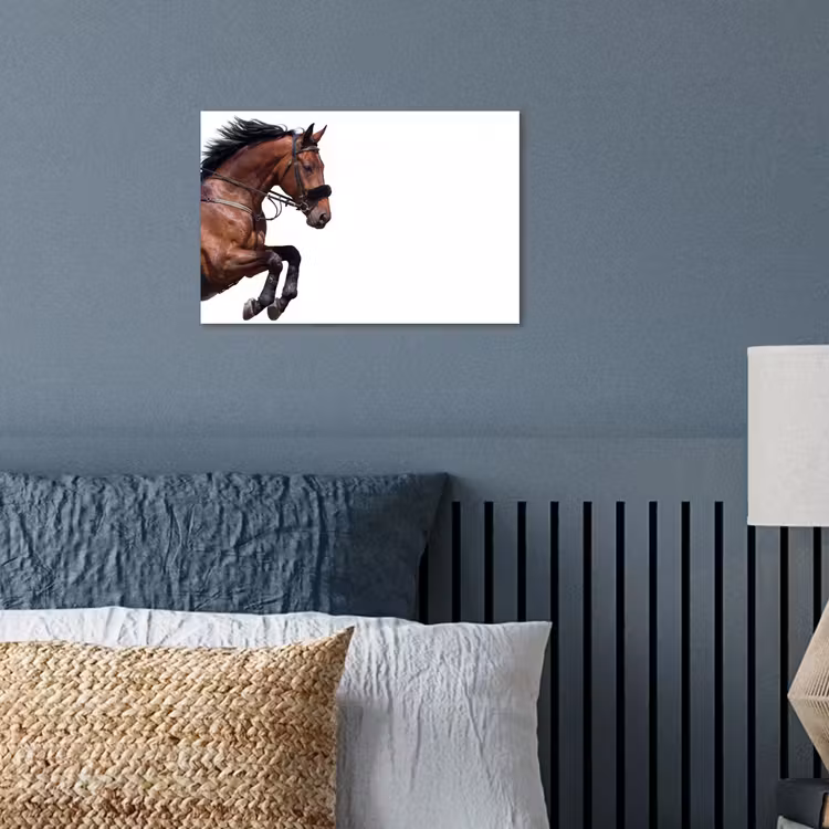 Poster - Paard - Springen - Modern — 3