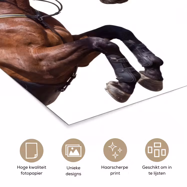 Poster - Paard - Springen - Modern — 5