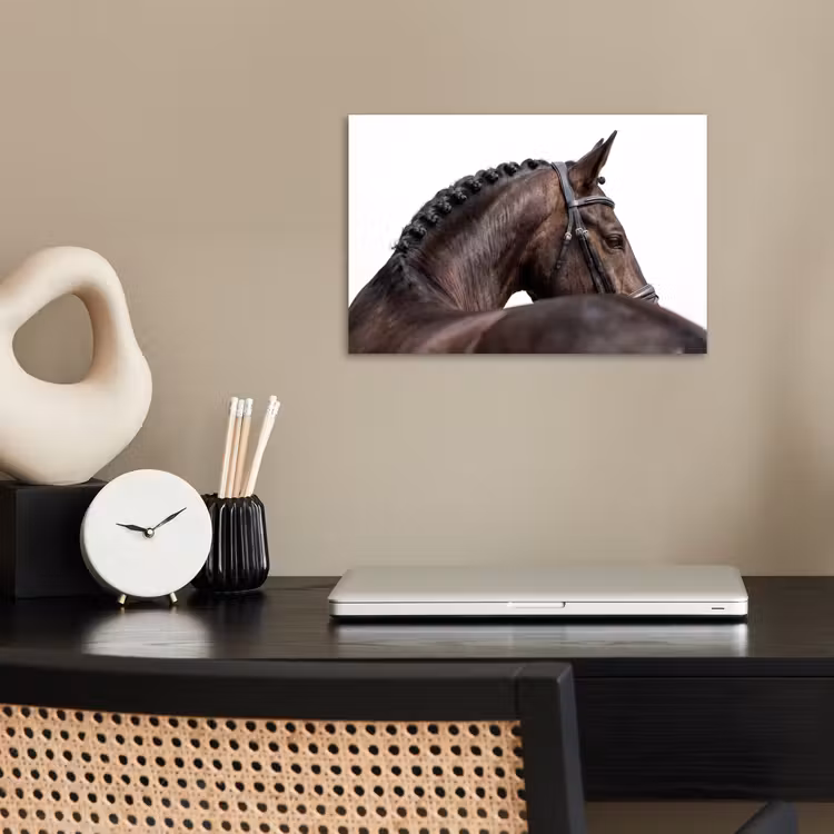 Poster - Portret - Paard - Elegant — 2