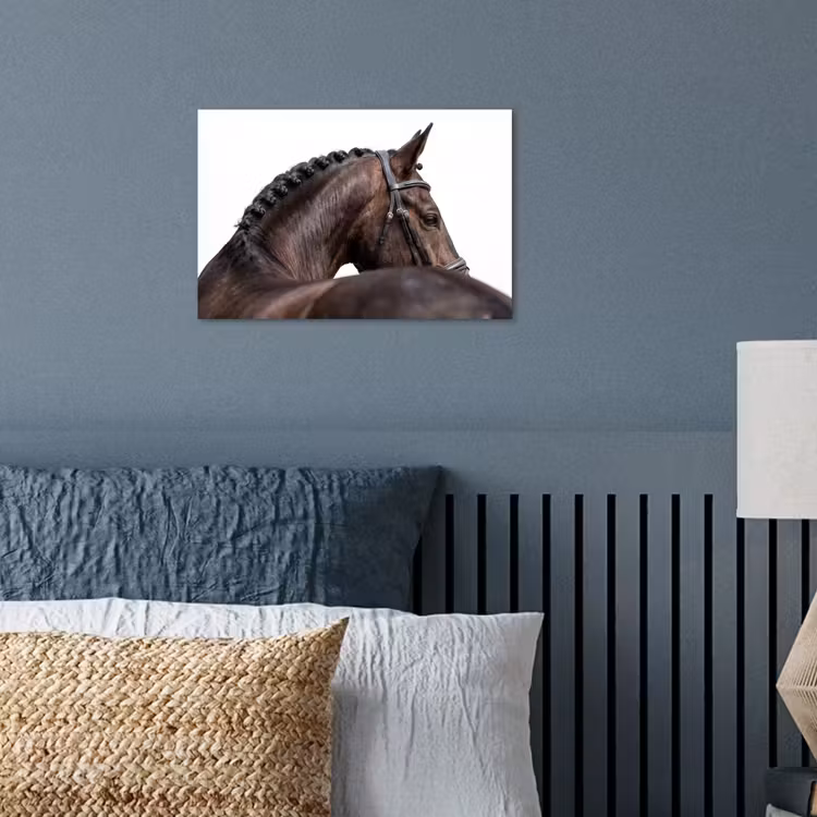 Poster - Portret - Paard - Elegant — 3