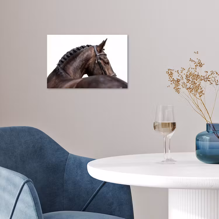 Poster - Portret - Paard - Elegant — 4