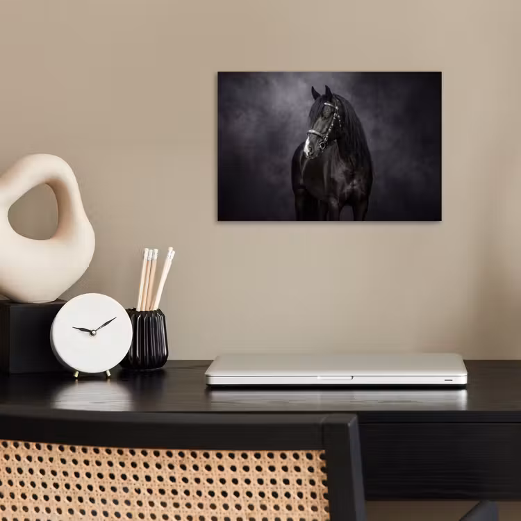 Poster - Portret - Paard - Zwart — 2