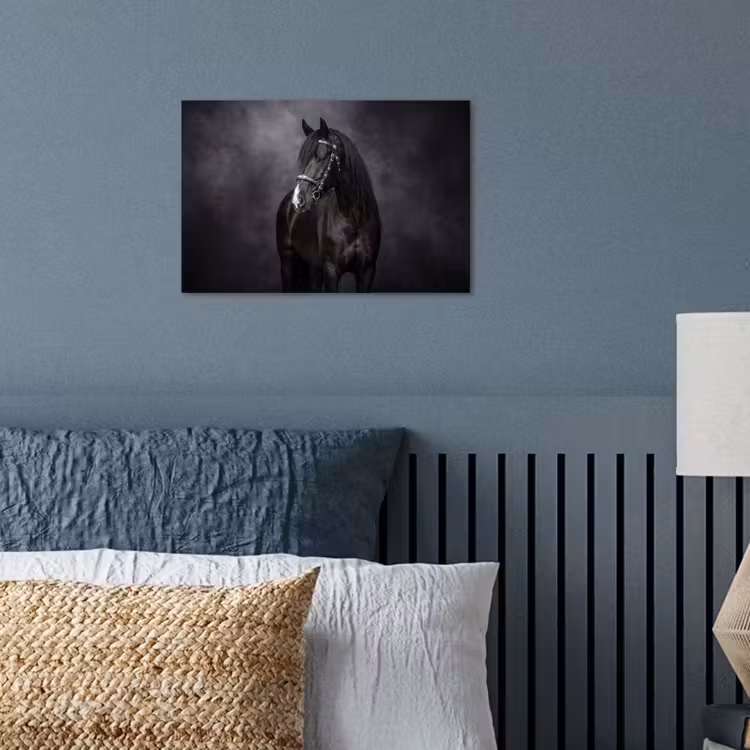 Poster - Portret - Paard - Zwart — 3