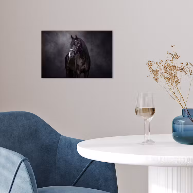 Poster - Portret - Paard - Zwart — 4